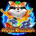 Ninja Raccoon