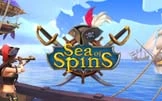 Sea of Spins