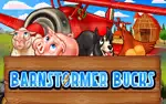 Barnstormer Bucks