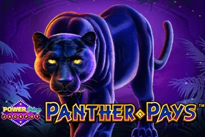 Panther Pays Power Play Jackpot