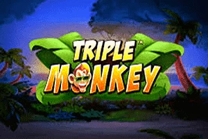 Triple Monkey