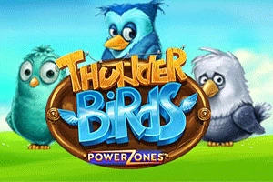 Power Zones: Thunder Birds