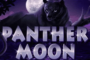 Panther Moon