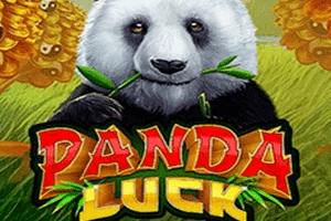 Panda Luck