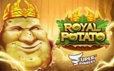 Royal Potato